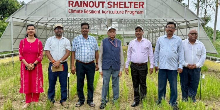 Climate-Resilient Rice, Smarter Farming: ICAR Official Reviews Research Driving Agriculture In Eastern India