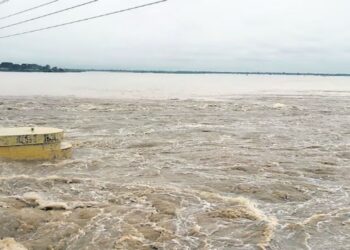 Rivers Swell Across Bihar: Kosi, Bagmati Cross Danger Mark, Ganga Under Close Watch