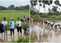Collective Rice Transplanting Highlights Scientific Farming And Teamwork At ICAR-RCER Patna