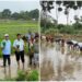 Collective Rice Transplanting Highlights Scientific Farming And Teamwork At ICAR-RCER Patna