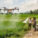 Drone-Based Nano Fertiliser Spraying Offers Alternative as Urea Shortage Affects Bagaha Farmers