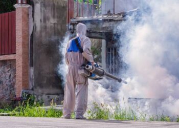 Patna Turns to Scientific Training as It Steps Up Its Fight Against Dengue and Malaria