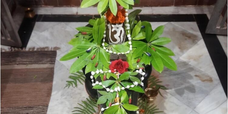 224-Year-Old Kashi Vishwanath Temple In Patna City Stays Cool With Wood And Tin Roofing
