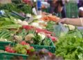 Bihar Vegetable Trade To Get Rs 106 Crore Boost, 350 Panchayats To Have Collection Centres
