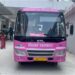 Raksha Bandhan Gift For Women: AC E-Pink Bus Service Launched In Patna With Services To Paliganj And Bihta