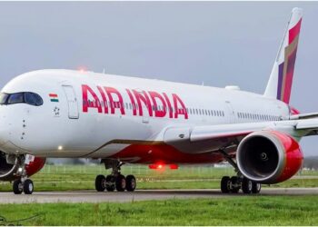 Second Bird Strike At Patna Airport In A Week, Air India Flight Lands Safely With 164 Passengers