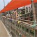 Lakhisarai Ashokdham Tragedy: Barricading, Wiring And Encroachments Raise Crowd Safety Questions
