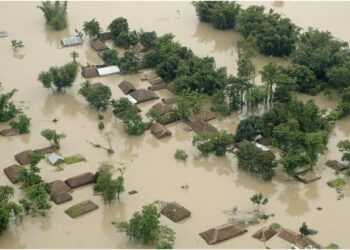 Bihar Flood Threat Persists As Debris From Nepal Raises Concerns; Vigilance On Embankments Intensified