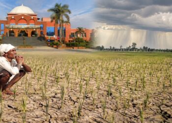 Can Bihar's Farmers Beat El Niño? Agricultural University Issues Urgent Kharif Advisory Amid 42% Rain Deficit