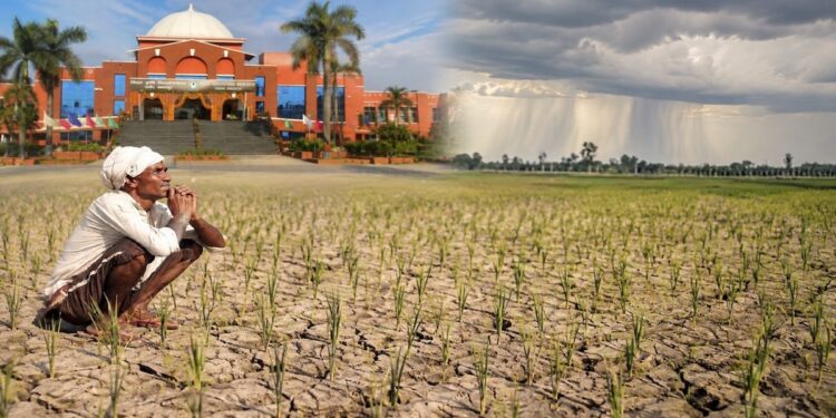 Can Bihar's Farmers Beat El Niño? Agricultural University Issues Urgent Kharif Advisory Amid 42% Rain Deficit