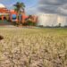 Can Bihar's Farmers Beat El Niño? Agricultural University Issues Urgent Kharif Advisory Amid 42% Rain Deficit