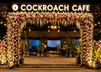 From Protest To Café: How 'Cockroach Café' In Bihar Is Turning A Viral Movement Into A Business Brand
