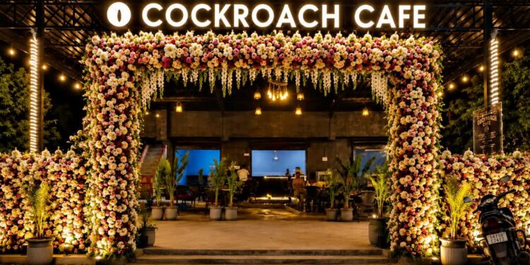 From Protest To Café: How 'Cockroach Café' In Bihar Is Turning A Viral Movement Into A Business Brand