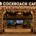 From Protest To Café: How 'Cockroach Café' In Bihar Is Turning A Viral Movement Into A Business Brand