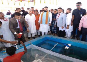 Bihar's First Fish Brood Bank Opens In Sitamarhi: Could It Boost Fish Production And Jobs?