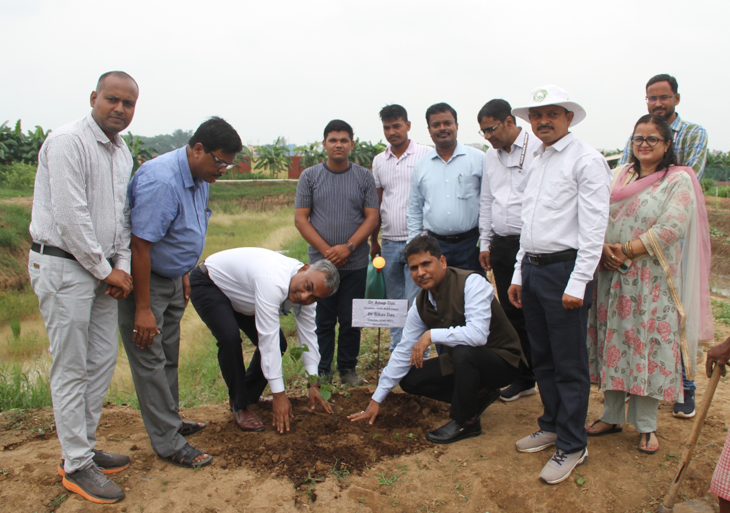 ICAR-RCER Reviews Climate-Resilient Farming Research At Three-Day Council Meeting In Patna