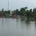 Bihar Flood Alert: Muzaffarpur’s Sahebganj Sees Gandak Water Reach Homes After Water Release From Valmikinagar