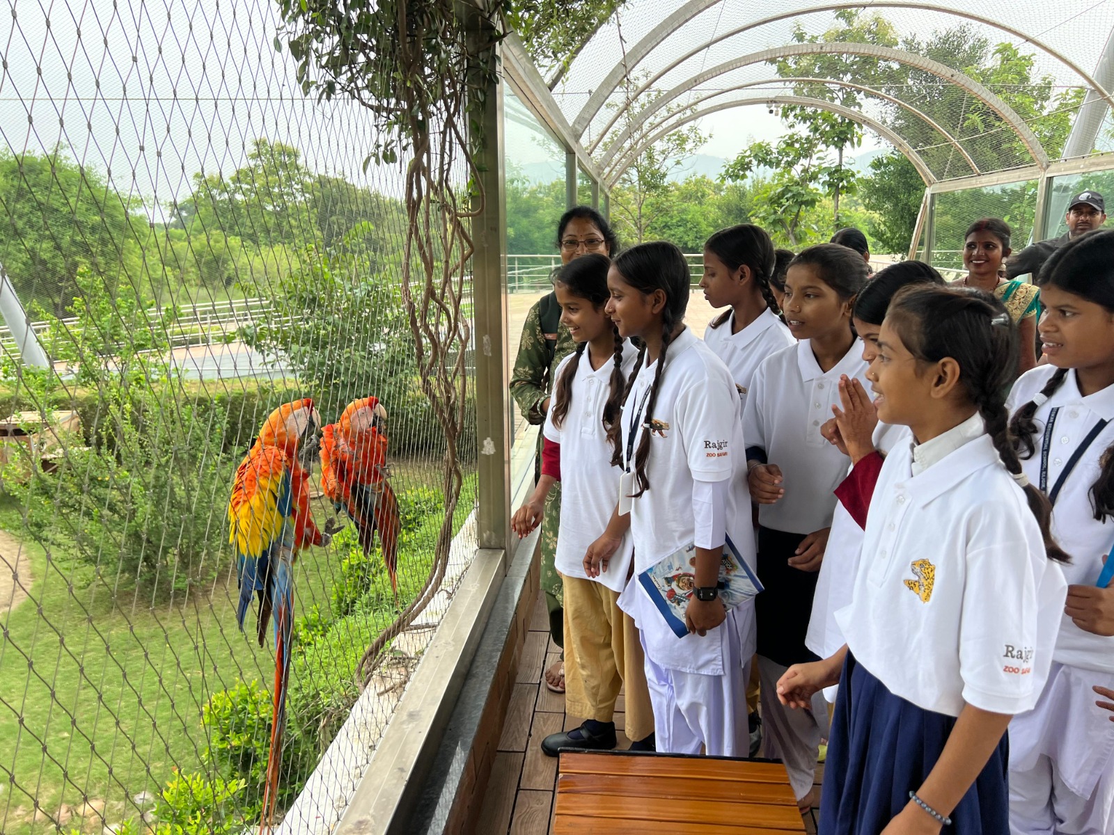 World Lion Day: Rajgir Zoo Safari Turns Students Into ‘Mini Zoo Keepers’