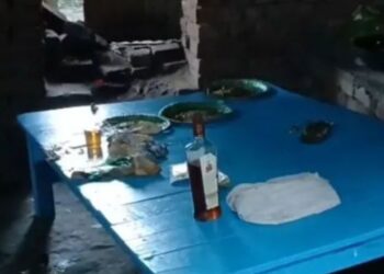 Four Die After Consuming Suspected Spurious Liquor in Patna’s Barh
