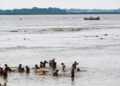 Patna’s Marine Drive Vendors Plan Return to JP Ganga Path as Rising Ganga Water Threatens Livelihoods