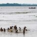 Patna’s Marine Drive Vendors Plan Return to JP Ganga Path as Rising Ganga Water Threatens Livelihoods
