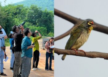 ‘Freedom Bird Walk’ At Rajgir Zoo Safari Highlights Bihar’s Avian Diversity