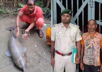 Saharsa dolphin case