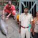 Saharsa dolphin case