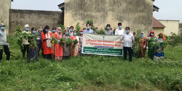 ICAR-RCER Patna Observes 21st Parthenium Awareness Week To Promote Weed Management