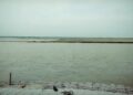 Ganga Water Level Rises in Patna: Roads at Mahavir Ghat Submerged, SDRF and NDRF on Alert