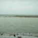 Ganga Water Level Rises in Patna: Roads at Mahavir Ghat Submerged, SDRF and NDRF on Alert