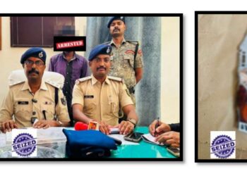 man kills mother in Bihar for money