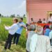Farmers and agriculture experts participate in a field day on direct-seeded rice and pest and disease management in Gaya