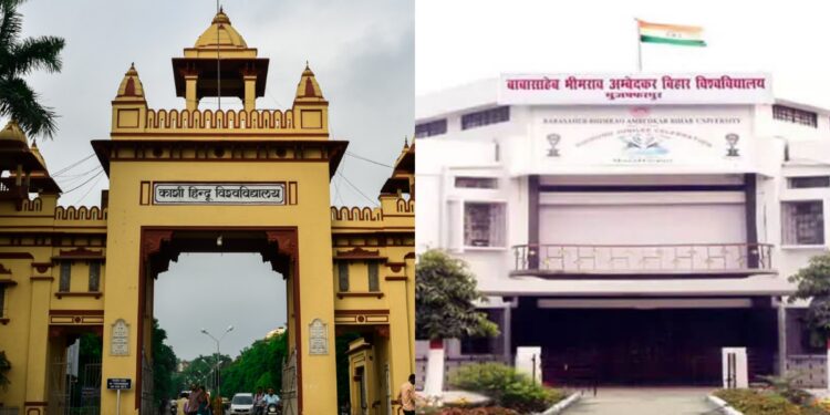 BHU research team led by BRABU Vice-Chancellor secures an Indian patent for a milk protein and aloe vera-based composite antacid tablet