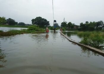 Bihar Weather: Yellow Alert in 31 Districts on Wednesday as Heavy Rain Hits Patna