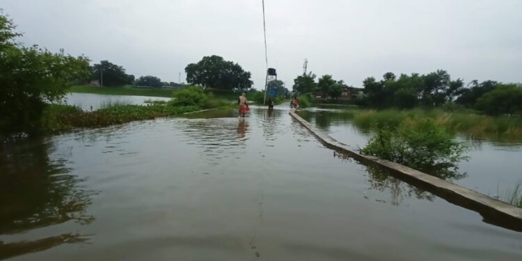 Bihar Weather: Yellow Alert in 31 Districts on Wednesday as Heavy Rain Hits Patna