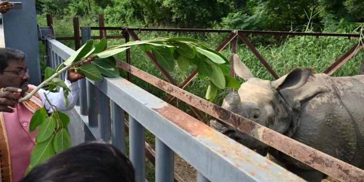 Rhino Conservation Gains Momentum In Valmiki Tiger Reserve; Rajgir Zoo Safari To Get Rhinos, Rehabilitation Plan In Two Months