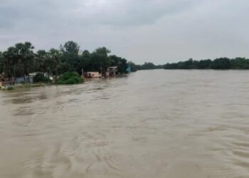 Bihar Flood Fears Rise: Ganga, Punpun in Spate; Diara Schools Shut, Hospital Flooded as Heavy Rain Alert Covers 31 Districts