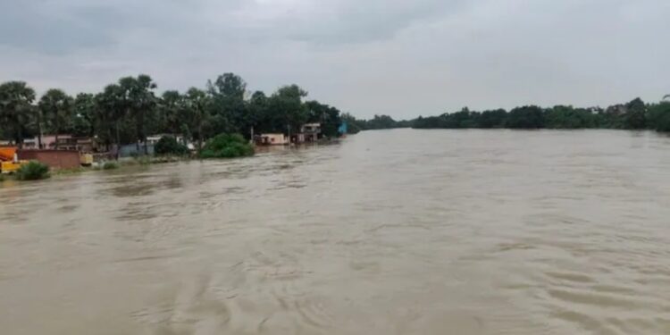 Bihar Flood Fears Rise: Ganga, Punpun in Spate; Diara Schools Shut, Hospital Flooded as Heavy Rain Alert Covers 31 Districts