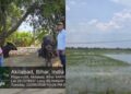 ICAR-RCER scientists assessing flood damage to crops in Saran and Vaishali