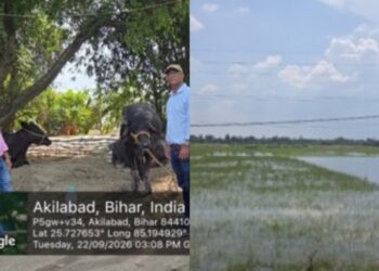 ICAR-RCER scientists assessing flood damage to crops in Saran and Vaishali
