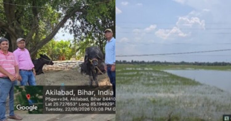 ICAR-RCER scientists assessing flood damage to crops in Saran and Vaishali