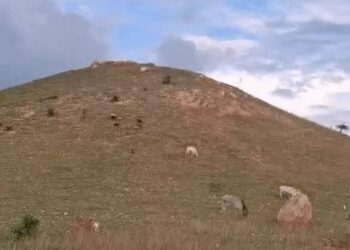 Madwa hill Jamui