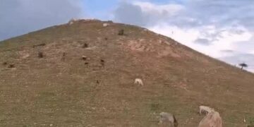 Madwa hill Jamui