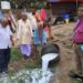 Food safety officials inspect milk samples at a dairy in Danapur, Patna