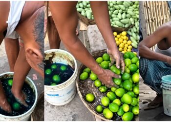 Muzaffarpur Markets Face Questions Over Alleged Chemical Treatment Of Vegetables