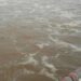 Bihar Flood Alert: Ganga, Gandak and Son Rivers Swell, 56 Indrapuri Barrage Gates Opened