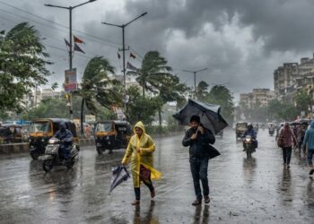 Winds Up to 40 KMPH, IMD Issues Yellow Alert Across 32 Districts From September 14-18