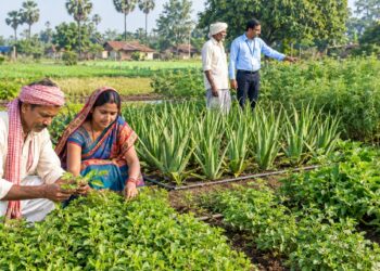 medicinal_farming_bihar
