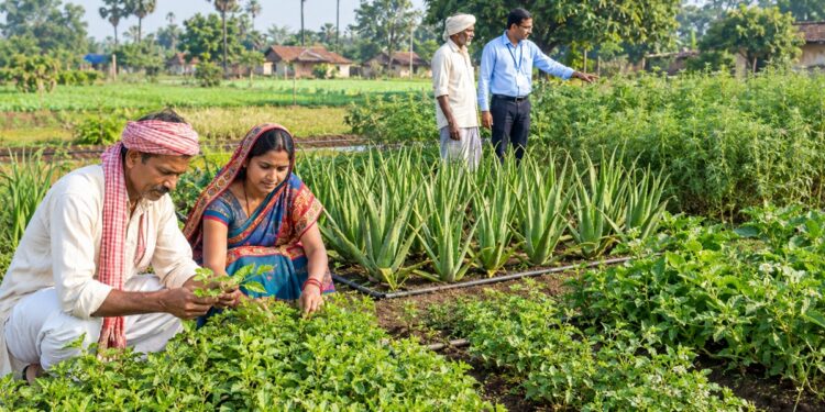 medicinal_farming_bihar